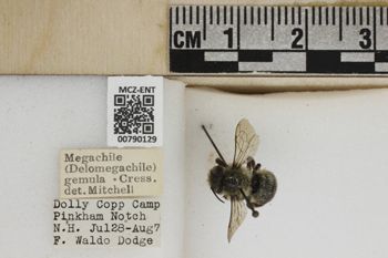 Media type: image;   Entomology 790129 Aspect: Labels